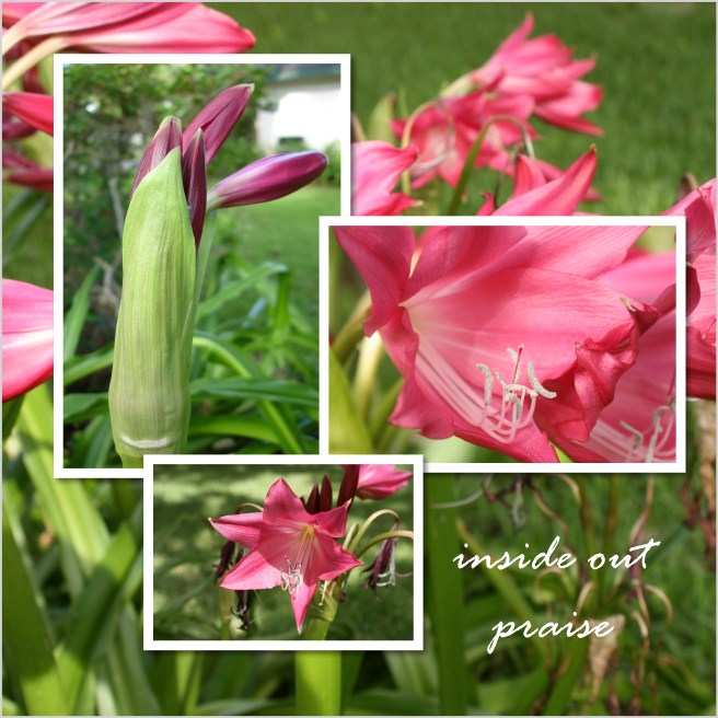 12x12-samples-page-036 12x12-samples-page-036