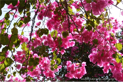 4x6-landscape-page-036