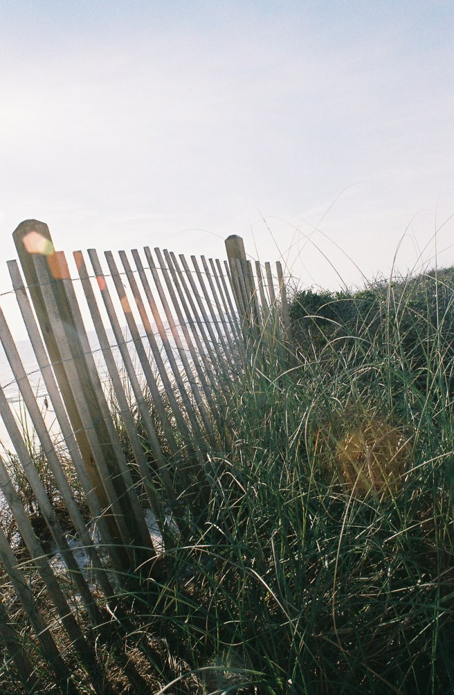 beach fence