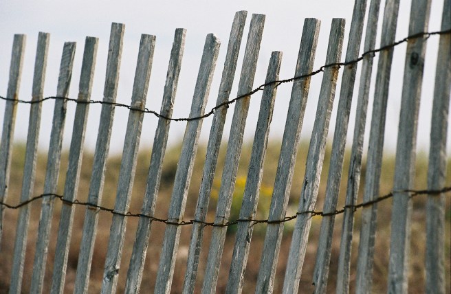 beach fence
