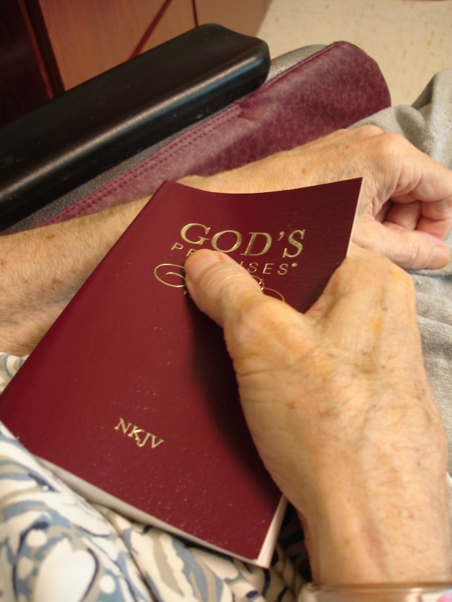 God's Promises God's Promises