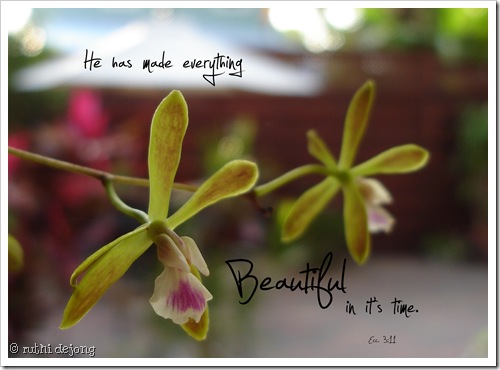 7x5 grace 08 - Page 002