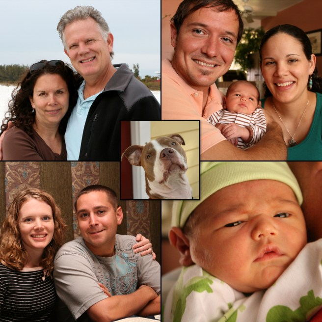 family widget - Page 026