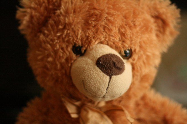 teddy bear