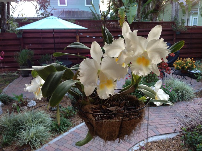 ????????????????????????