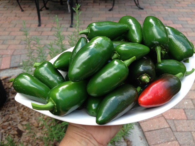 ????????????????????????